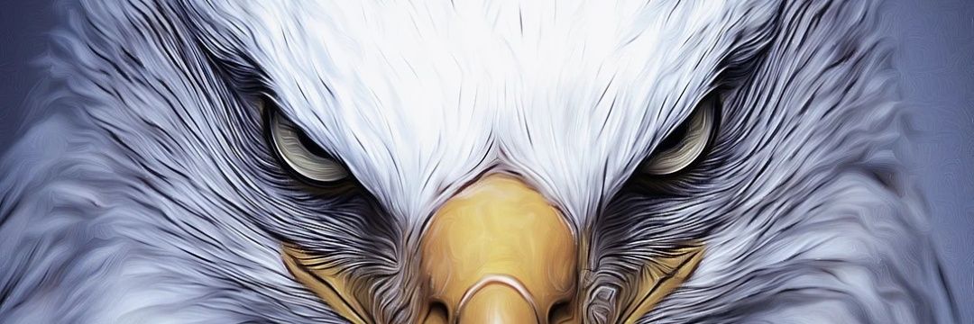 acina_06's profile banner image