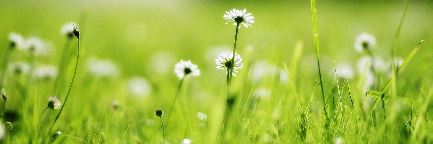 kaushal_niraula's profile banner image