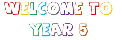 Year 5 Springwell 🧡 banner