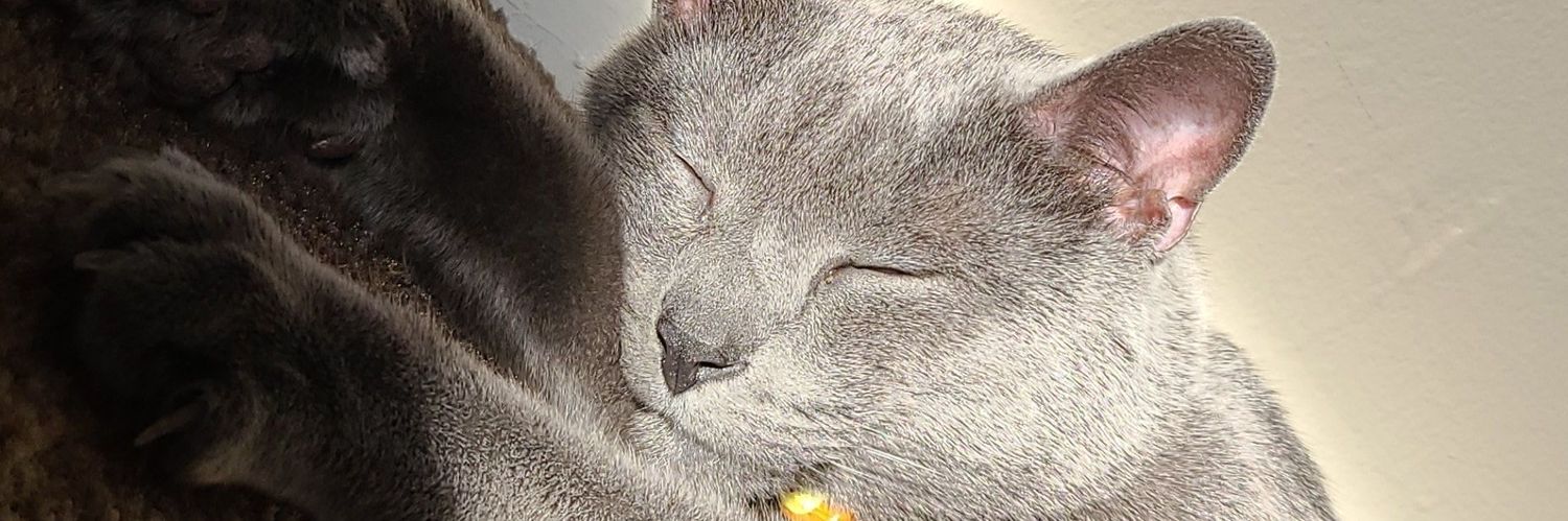 dannyengle99's profile banner image