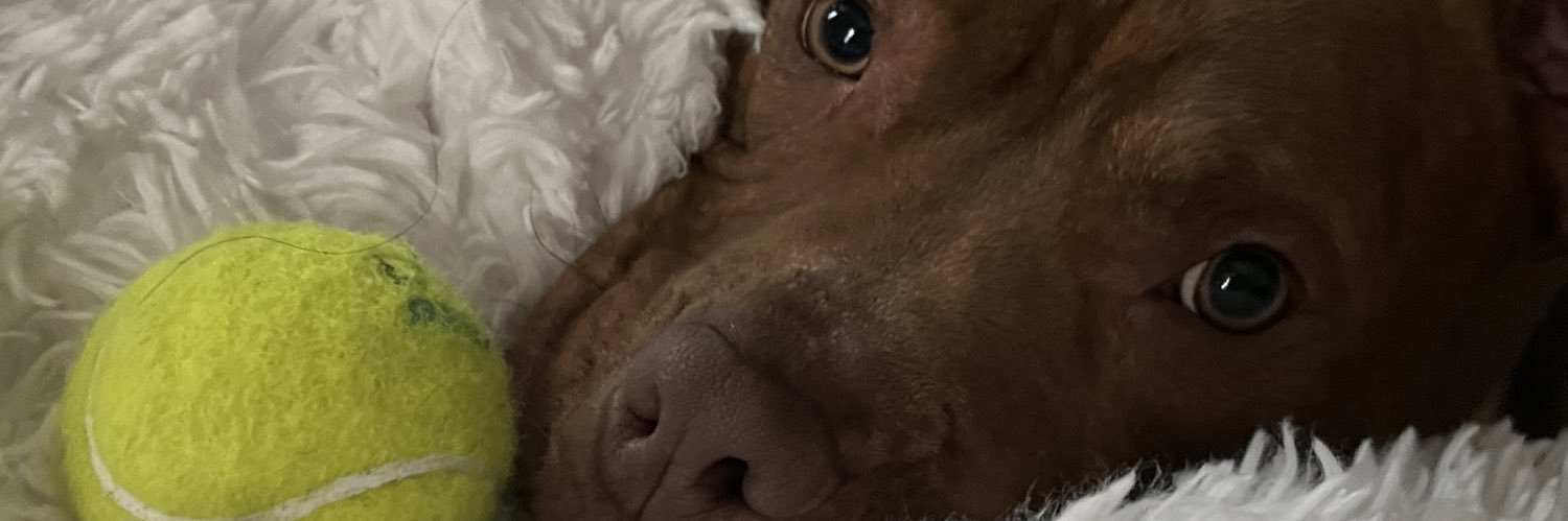 astrauther7's profile banner image