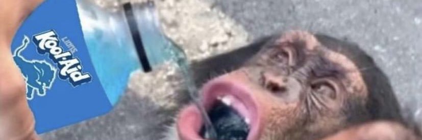 DapperJoeDisick's profile banner image