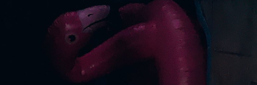 JGSantosSilva's profile banner image