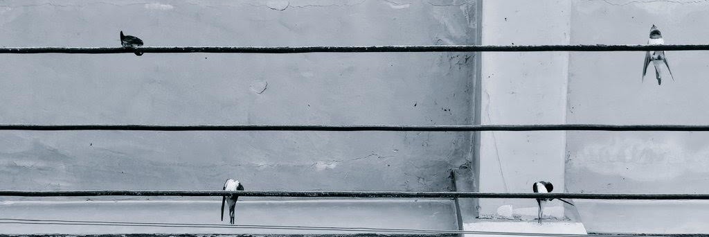 eooo banner