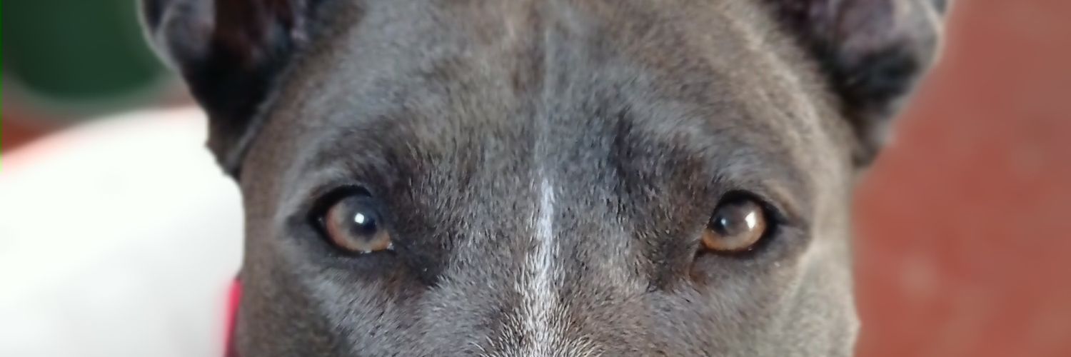 Elizabeth_J_Ph's profile banner image