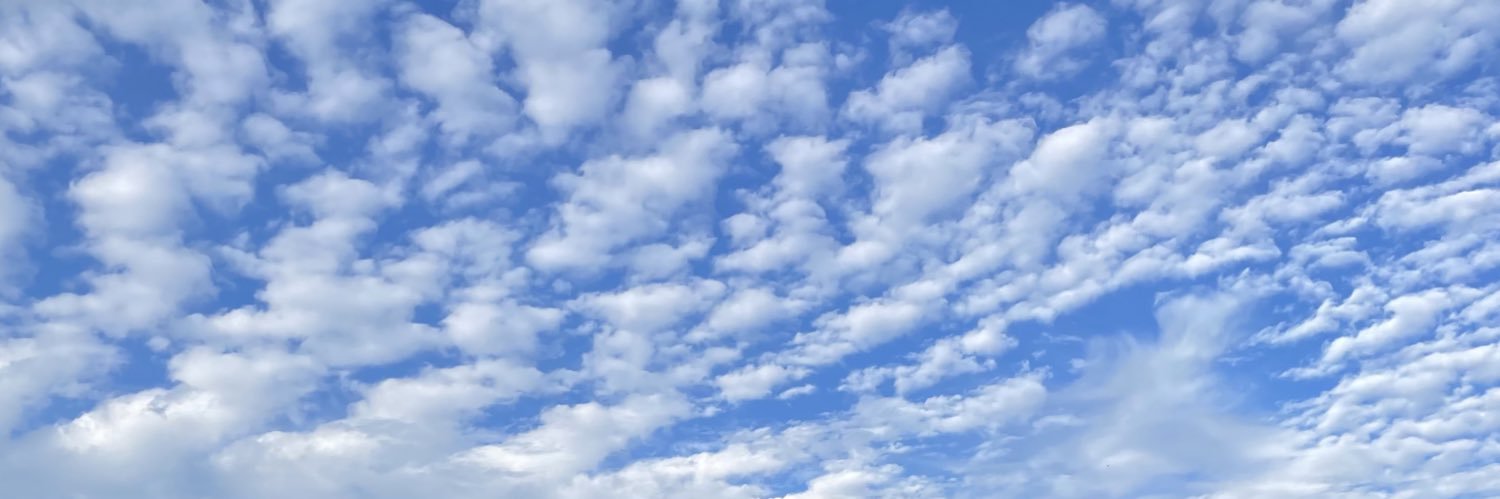 Sven Kohlmeier banner