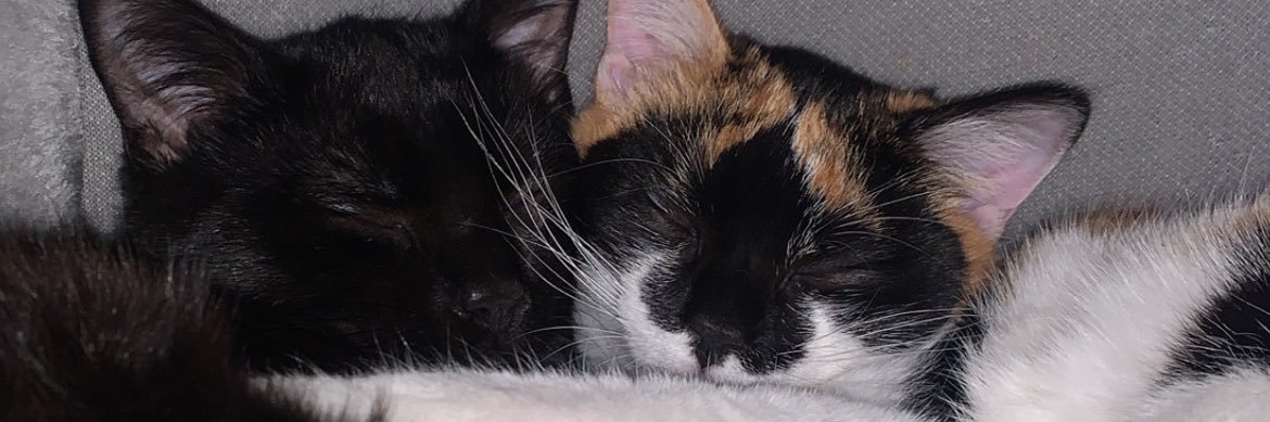 Epso21's profile banner image