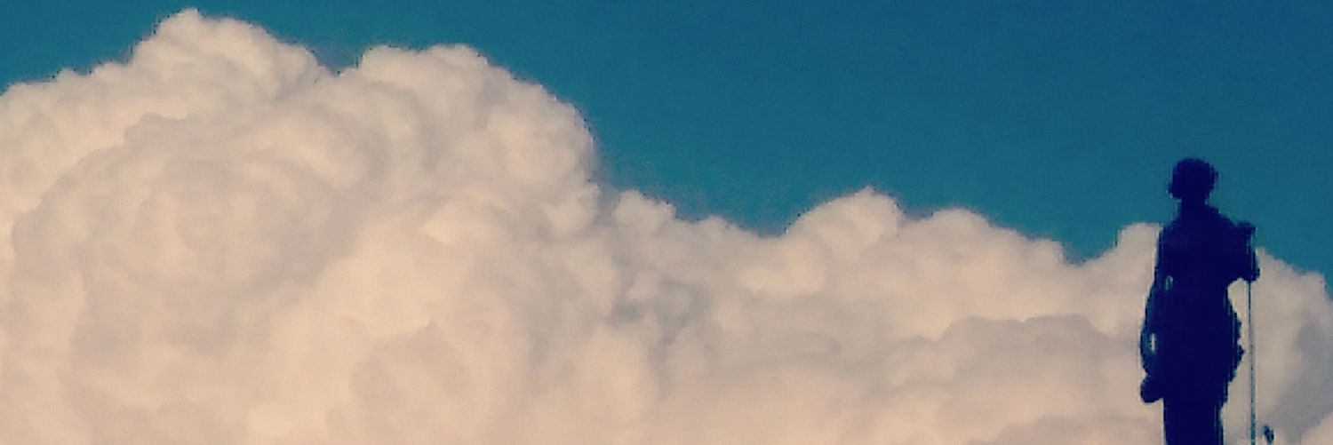 avientapelucas's profile banner image