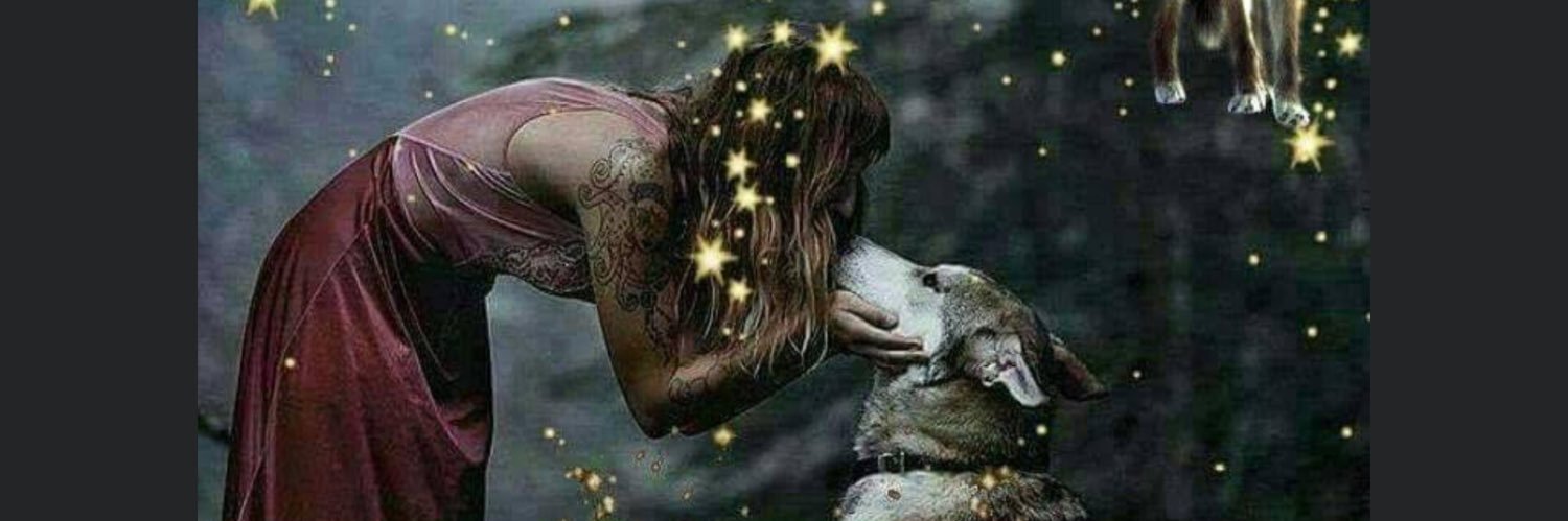 ✨Bouddi✨#AnimalLivesMatter 🐘🦛🐅 banner