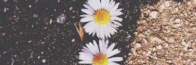 11lzl_'s profile banner image