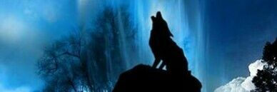 Alexozc3's profile banner image