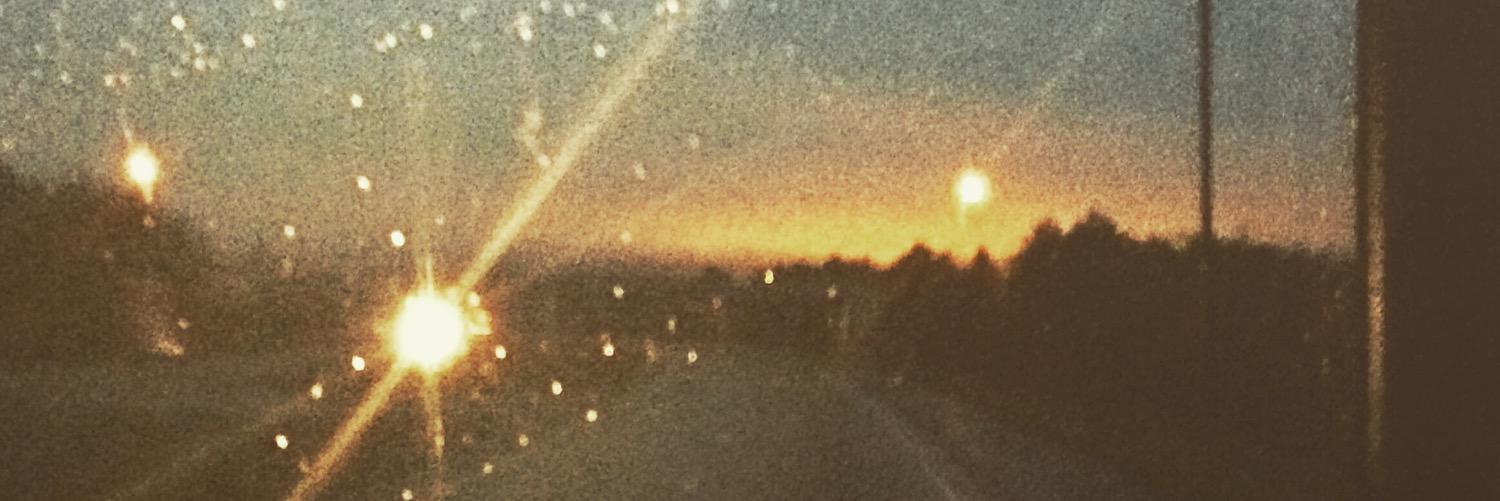 RoxanneAA's profile banner image
