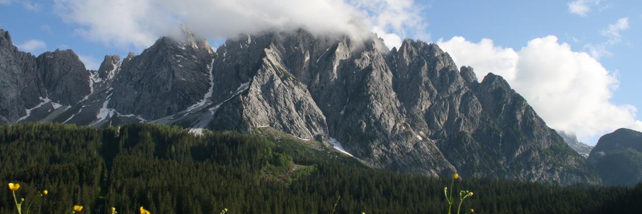 sappada_info's profile banner image