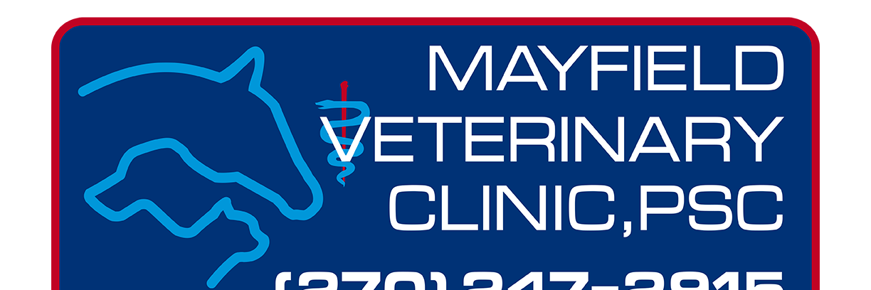 VetMayfield's profile banner image