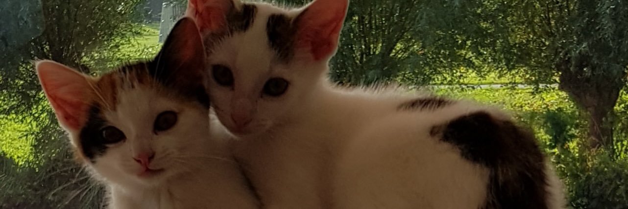 trudie banner