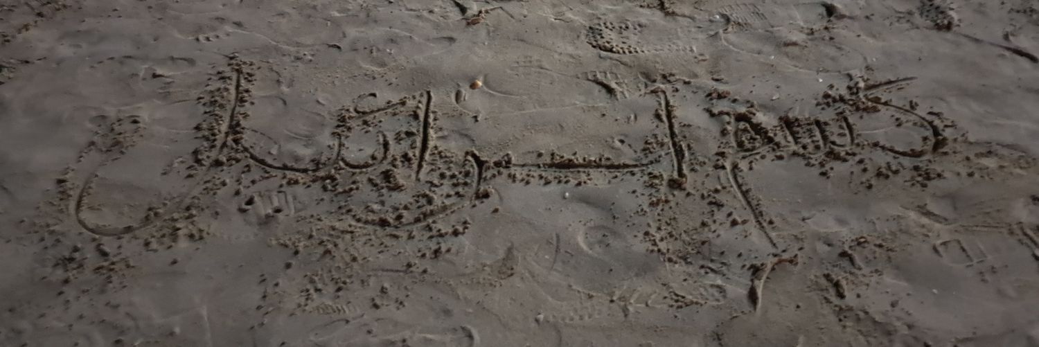 hebaaaazz's profile banner image