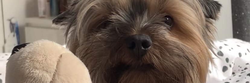 Scott_Smith19's profile banner image