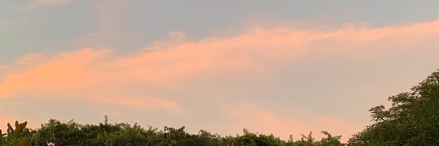 binv_20's profile banner image