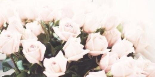 didi_hippie's profile banner image