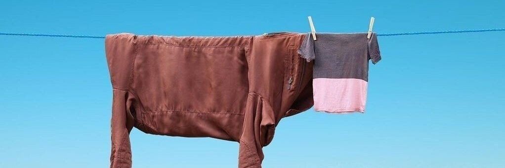 FrankGrimes72's profile banner image