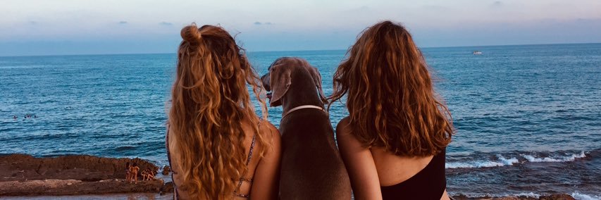 ines_ll98's profile banner image