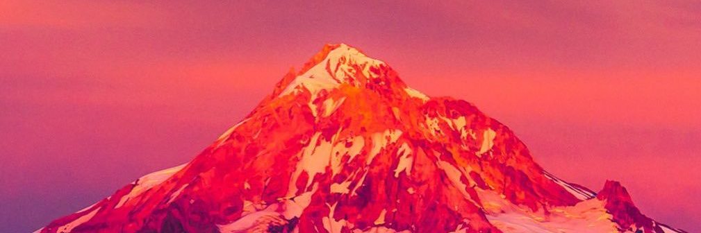 MaxKaplan4329's profile banner image