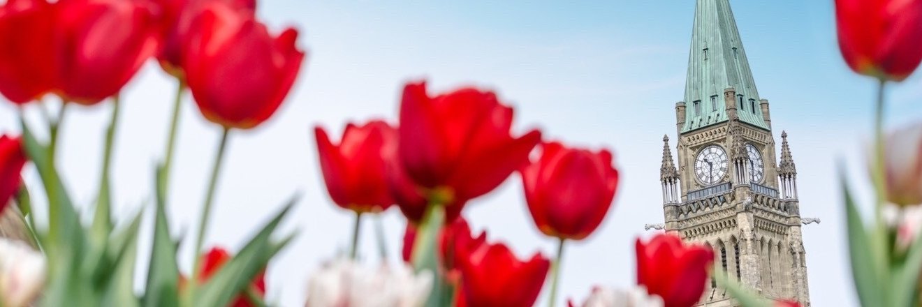 Netherlands in Canada 🇳🇱🇨🇦 banner