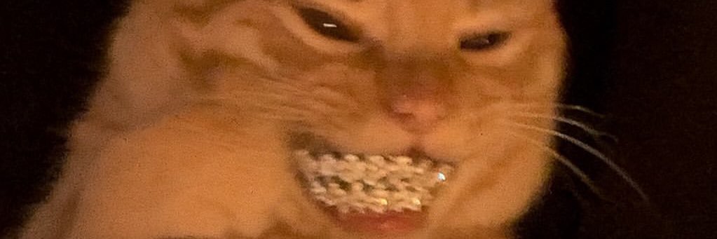 lookmaddie's profile banner image