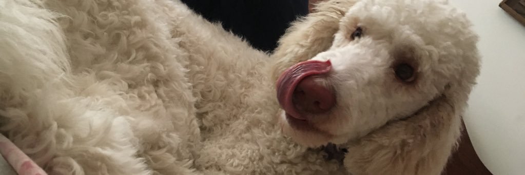 KendyllBurnell's profile banner image