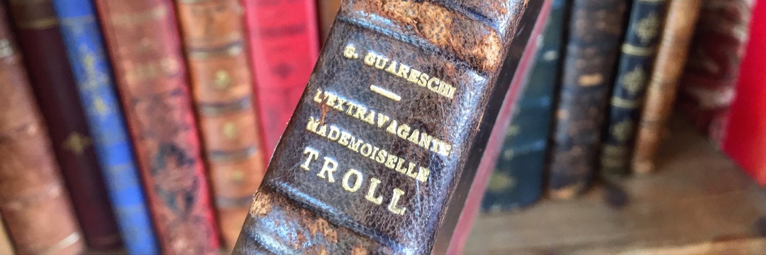 diane de fortanier banner