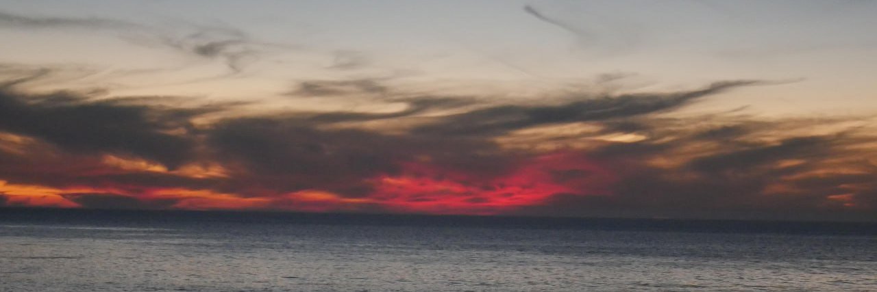 Monika_Ivanenko's profile banner image