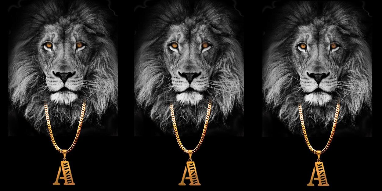 aminorthedj's profile banner image