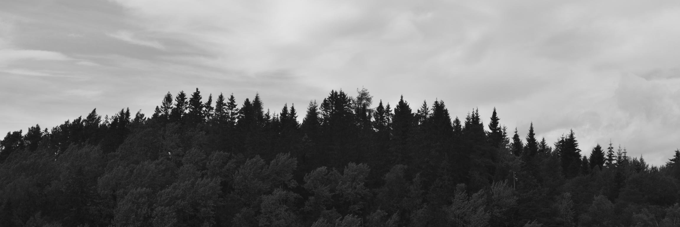 JoeTheNorm's profile banner image