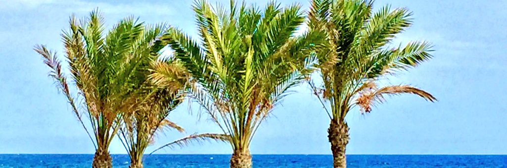 Medienzigarre's profile banner image