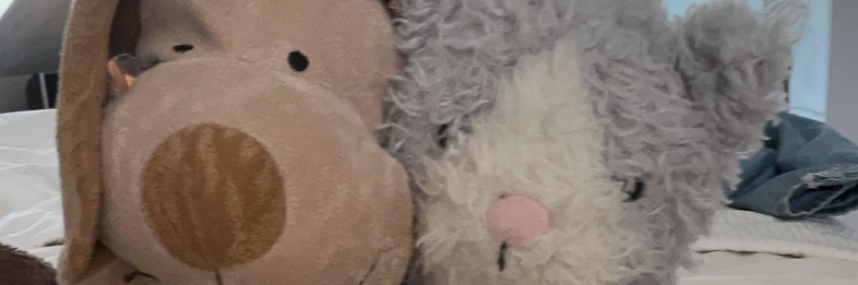 Ethan_Postic's profile banner image