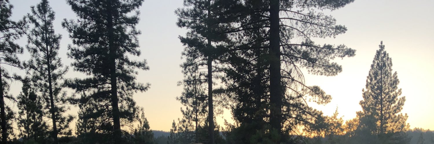cortblume3's profile banner image