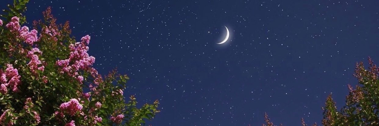 Hend_H7's profile banner image