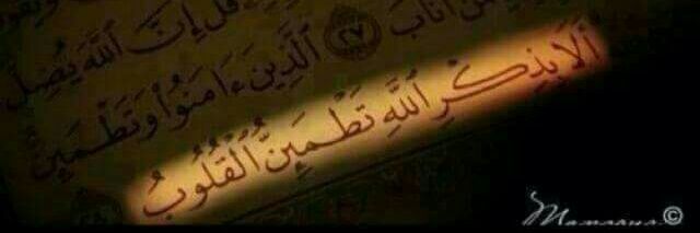 M_Ali_2015's profile banner image