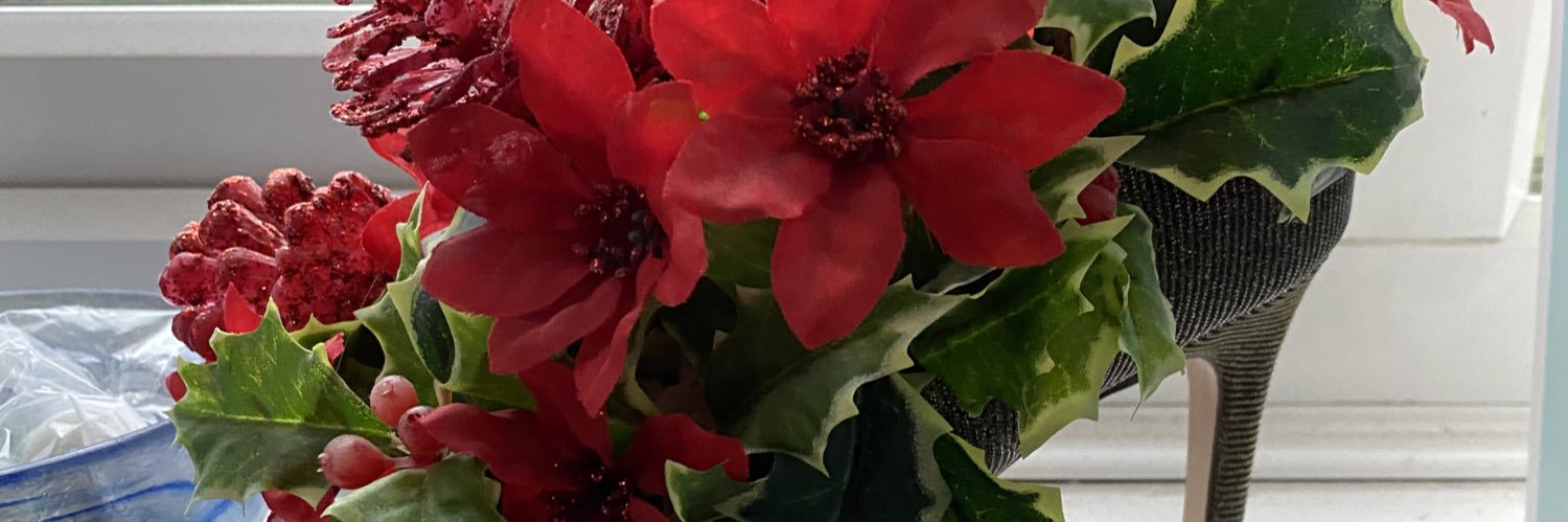 Momma Switch BSc (Hons) banner