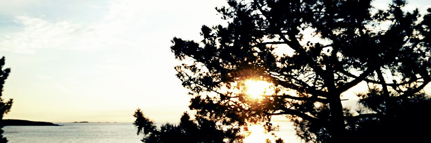 Faaaatiima's profile banner image