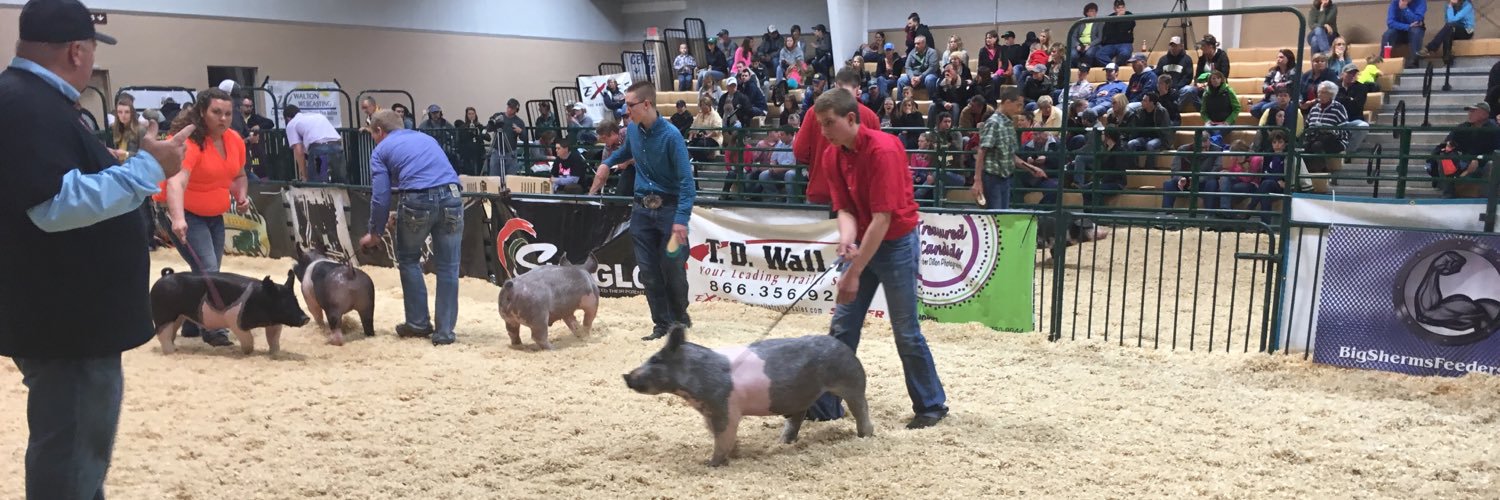 JC_Showpig's profile banner image