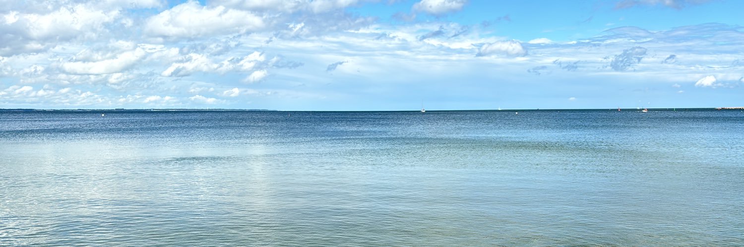 merlesbach's profile banner image