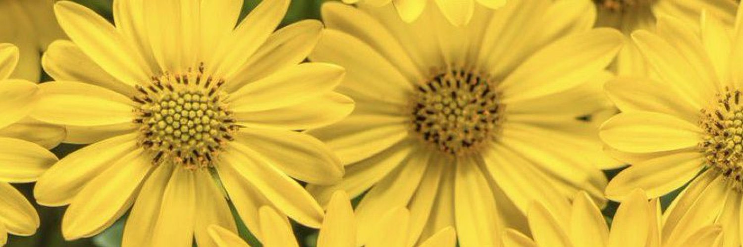 Awja3_1411's profile banner image