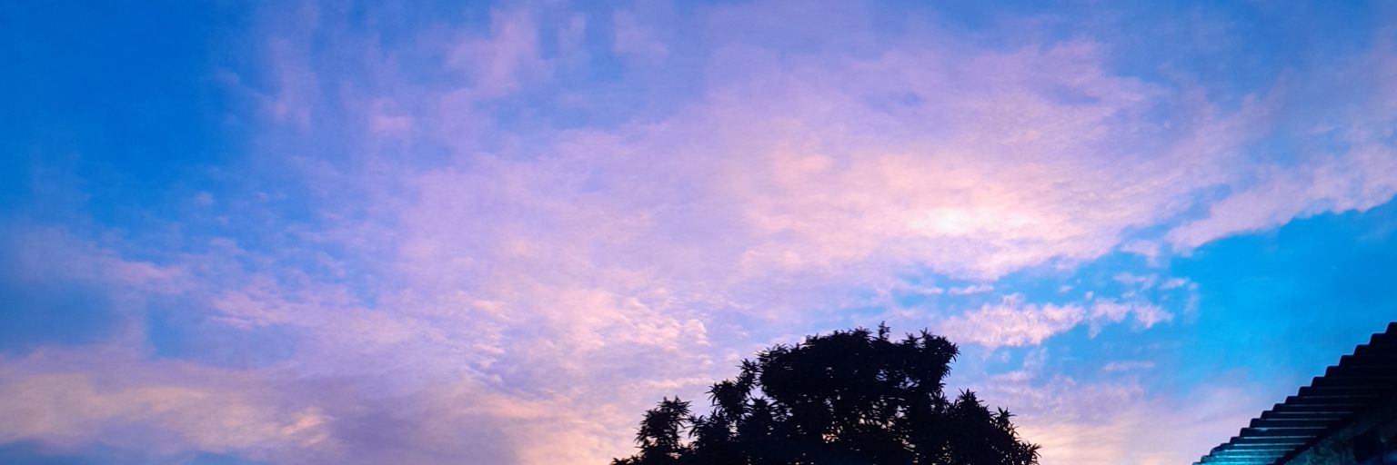 iaramedd's profile banner image