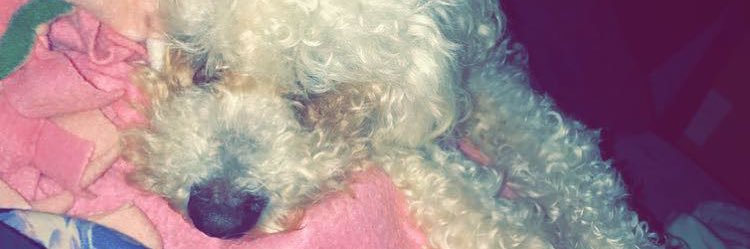 kenz__kenz___'s profile banner image