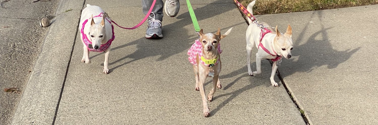 Conservative Cali Girl 🇺🇸 banner