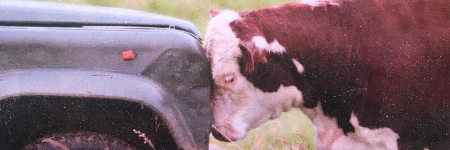 markgeorgeprice's profile banner image