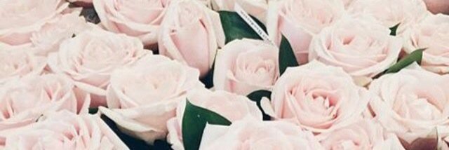 Pilar_FQ's profile banner image