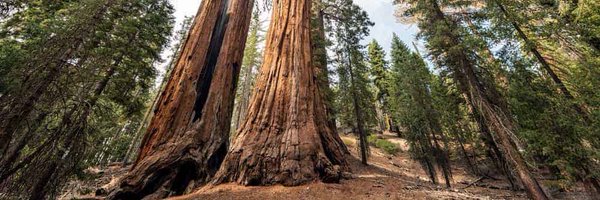 _CoachCoop Profile Banner