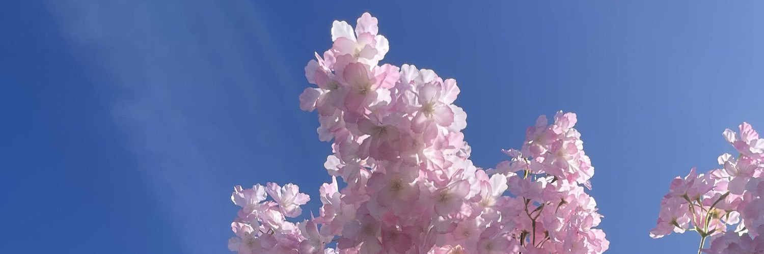 YumikoSeto's profile banner image